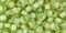 Toho 6/0 Round Japanese Seed Bead, TR6-945, Inside Color Jonquil/Mint Julep Lined